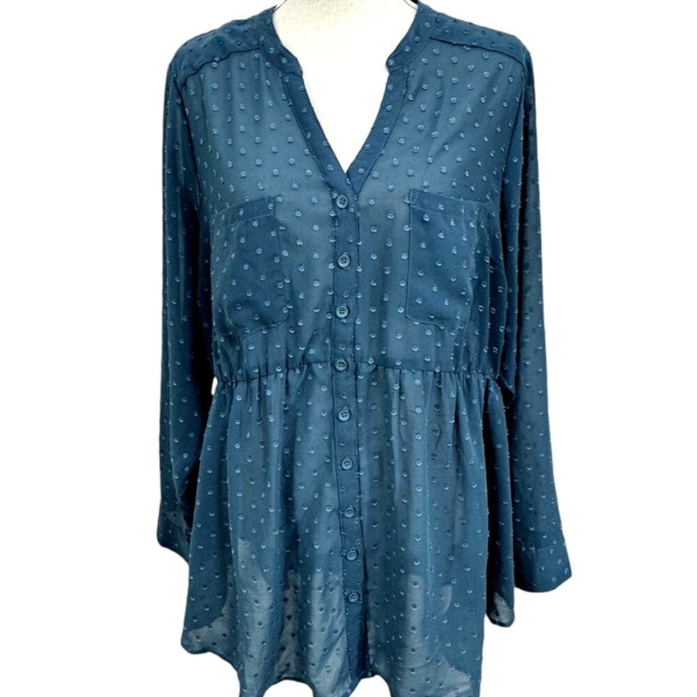 Torrid 2, Sheer Blouse, Cottage Core, Fairy, Whimsy,‎ Round Hem, Plus Size